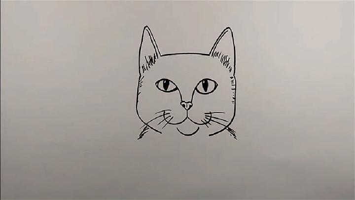 Draw a Cat Face Outline