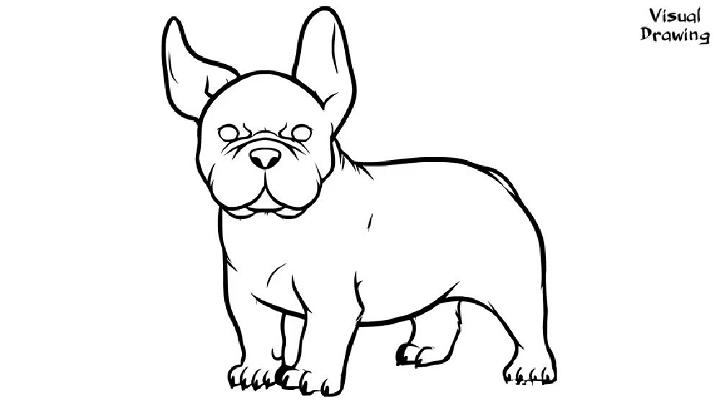 Draw a French Bulldog for Beginners