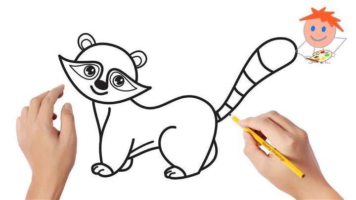 Draw a Raccoon