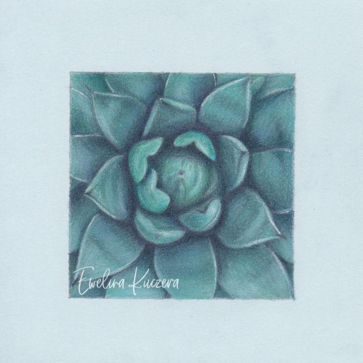 Draw a Succulent with Colored Pencils