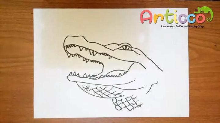 Draw an Alligator Head