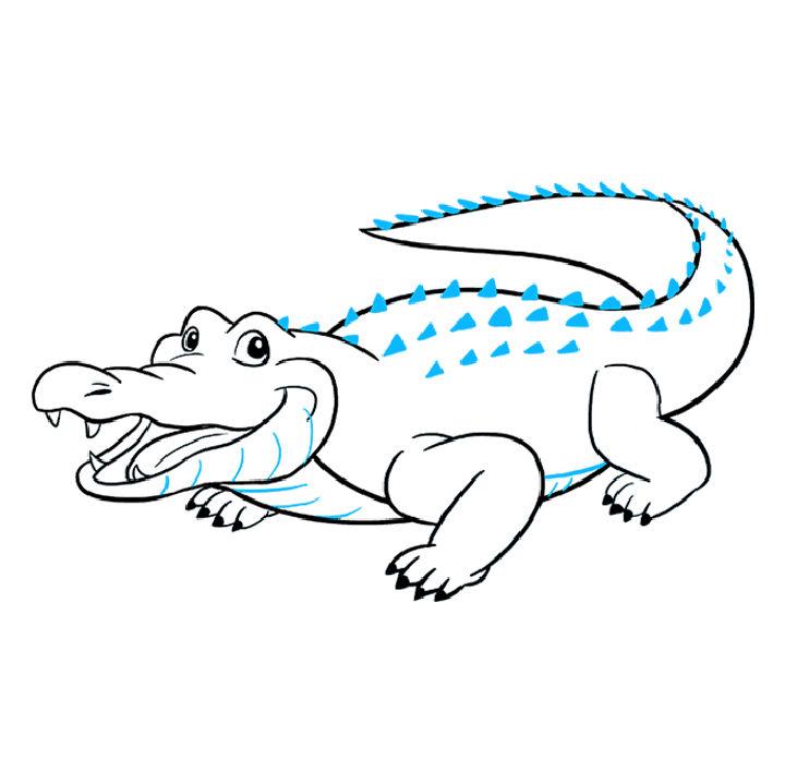 Draw an Alligator or Crocodile