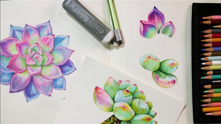 Draw and Blend Succulents in Colored Pencil