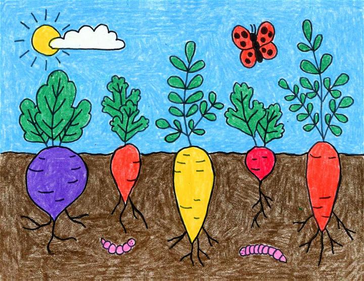 Drawing Of A Vegetable Garden