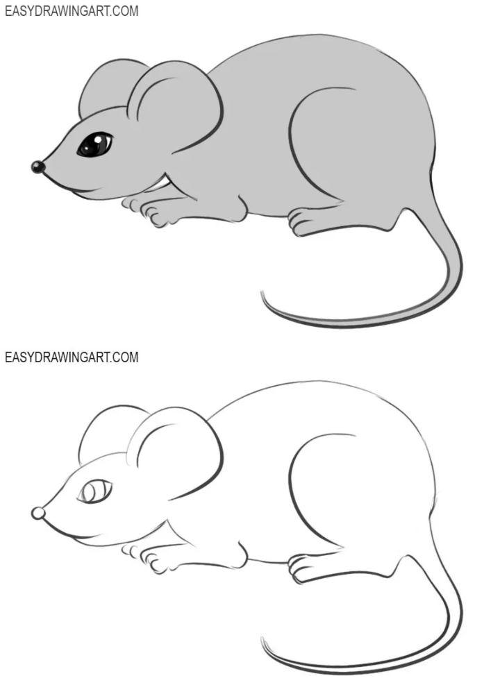 Drawing a Mouse Step by Step