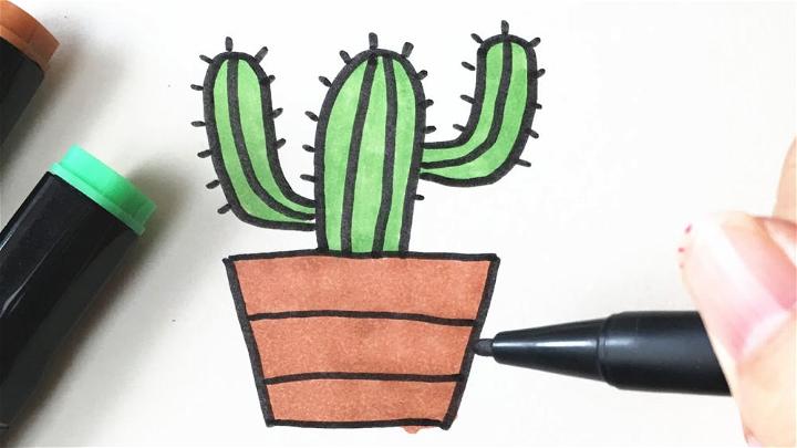 Drawing of Potted Succulents