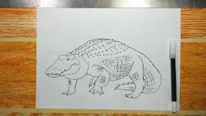 25 Easy Alligator Drawing Ideas - Draw an Alligator