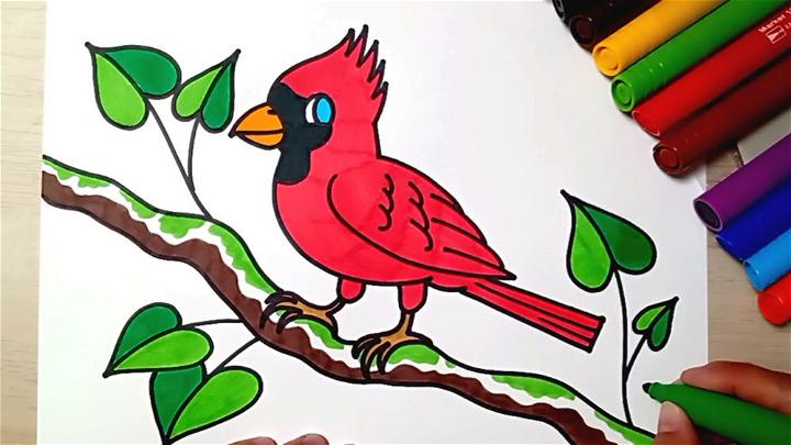 Drawing of a Cardinal
