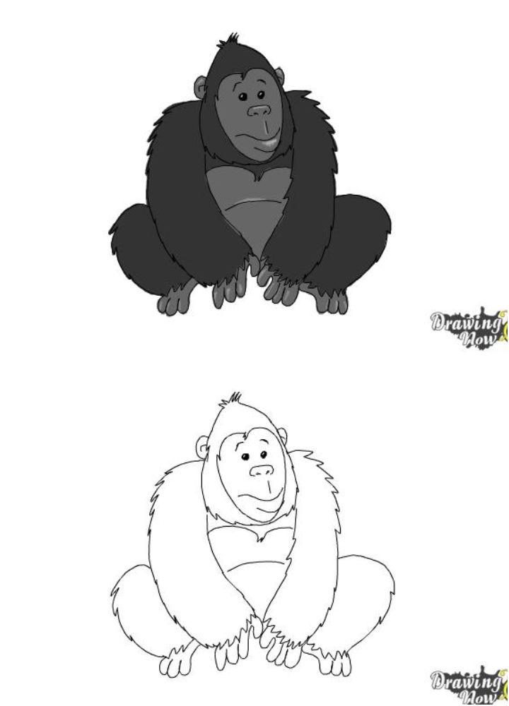 Drawing of a Gorilla