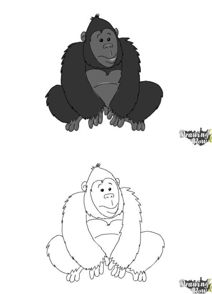 25 Easy Gorilla Drawing Ideas - How to Draw a Gorilla