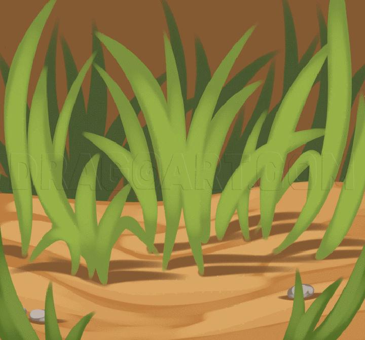 Drawing of a Grass