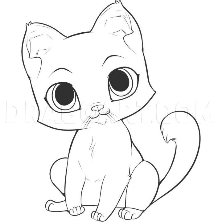 Drawing of a Kitten