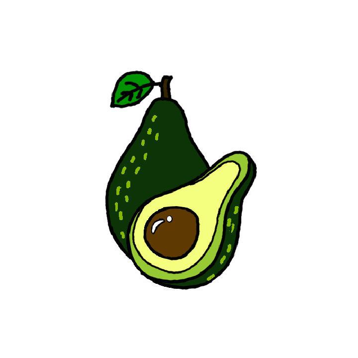 Drawing of an Avocado