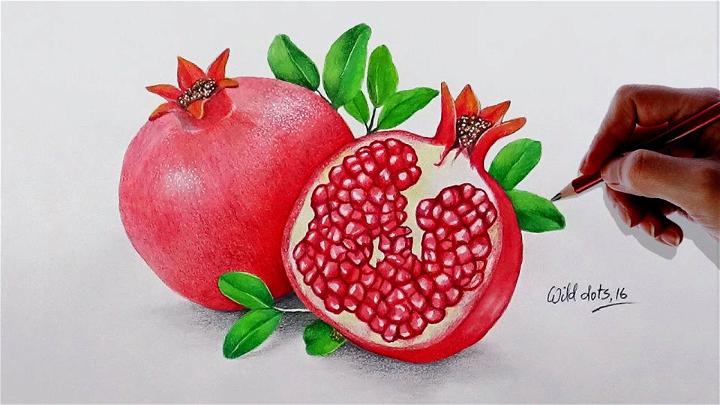 Easy And Simple Pomegranate Drawing