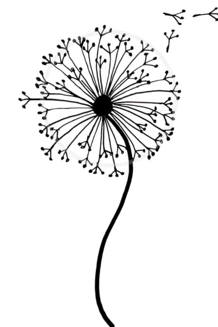 Easy Dandelion Drawing