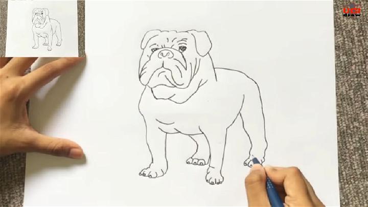 Easy French Bulldog Outline Sketch