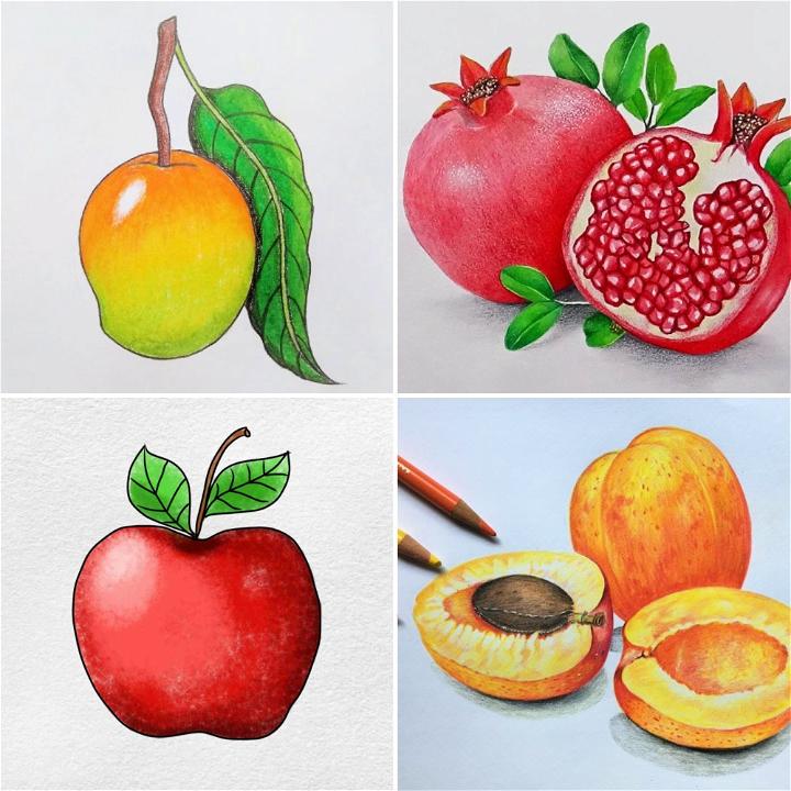 Fruit Drawings