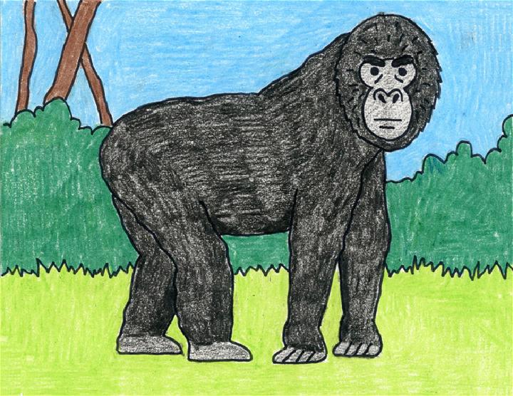 Easy Gorilla Drawing