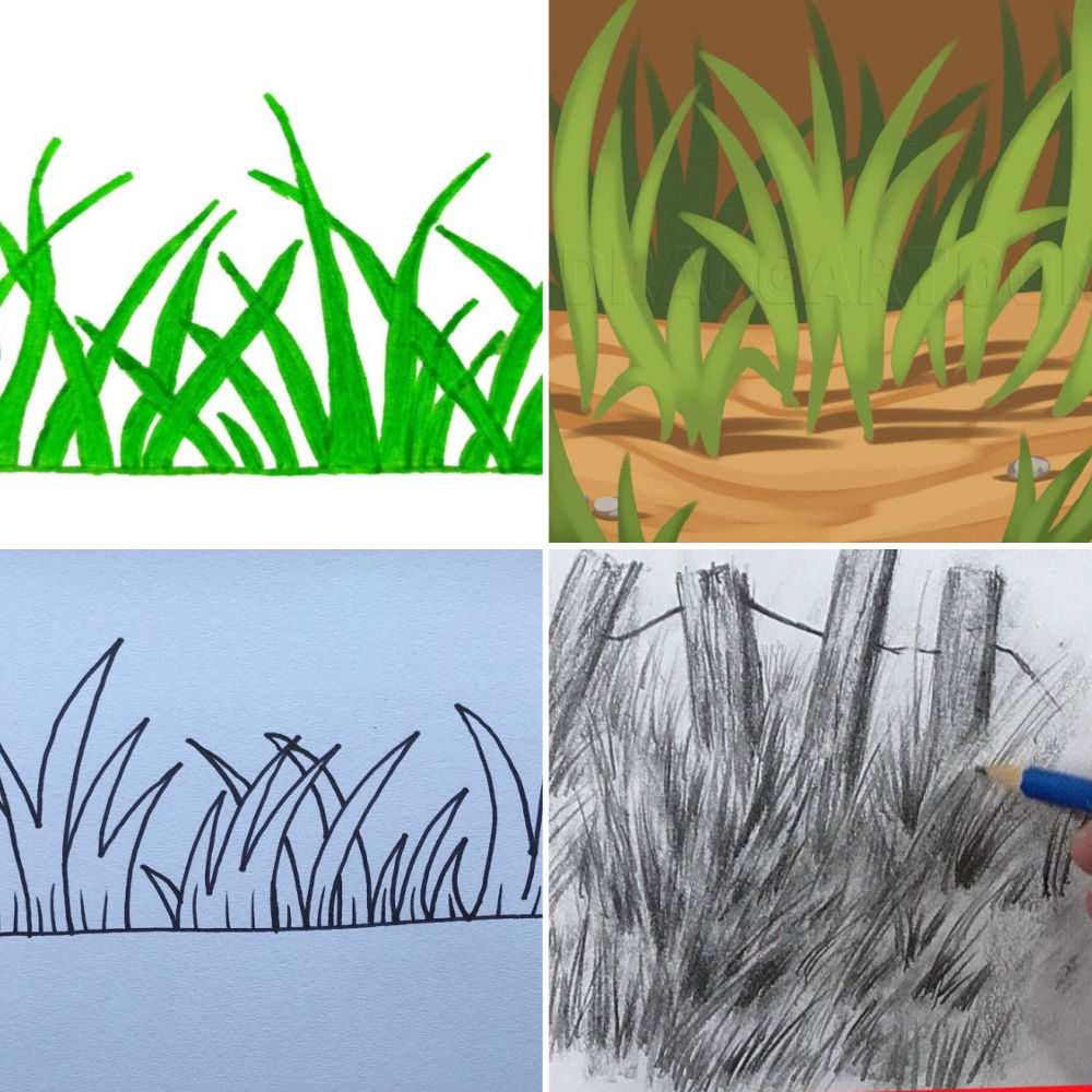 Grass Drawing Grass Drawing