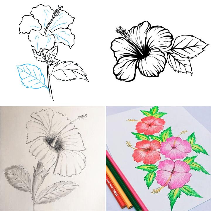 Hibiscus Flowers Drawing Sketch Line Art Stock Vector (Royalty Free)  1959778759 | Shutterstock
