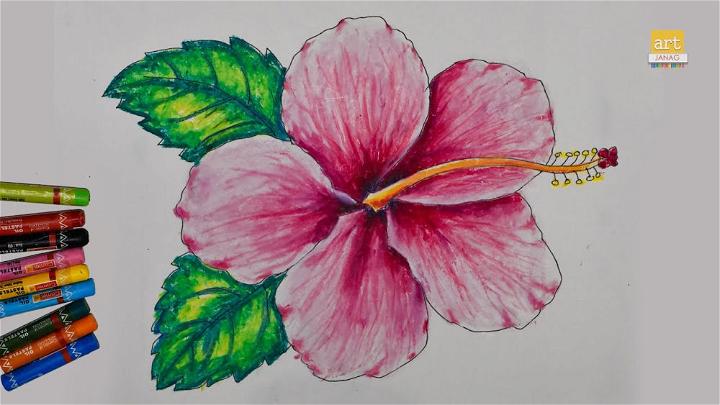 Easy to Draw Hibiscus Flower 