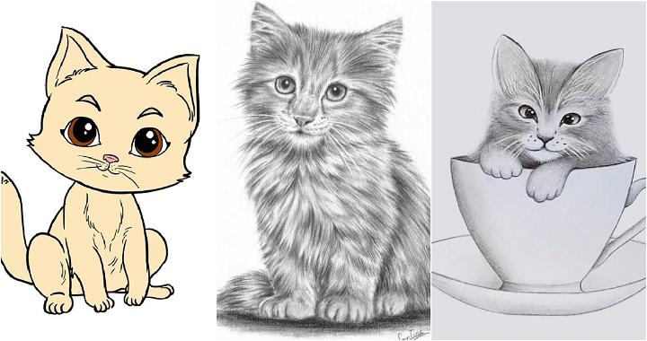 25 Easy Kitten Drawing Ideas - How to Draw a Kitten