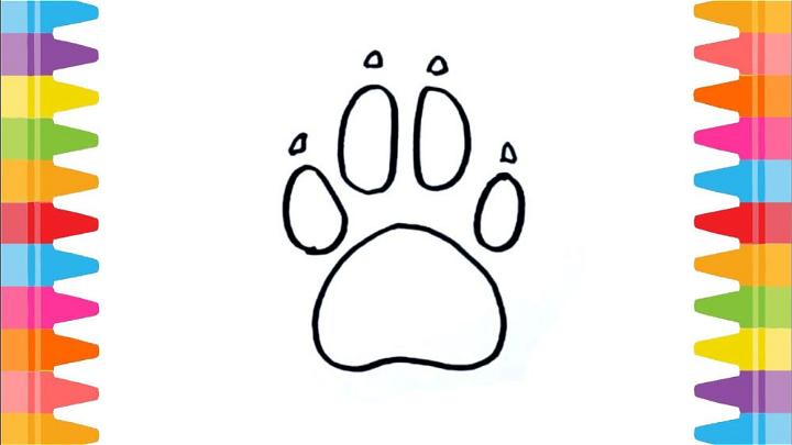 Easy Paw Print Drawing Step by Step Instructions
