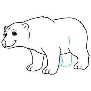 25 Easy Polar Bear Drawing Ideas - How to Draw