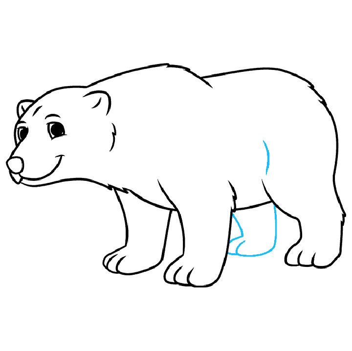 Easy Polar Bear Drawing