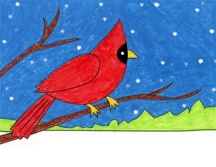 Easy Way to Draw a Cardinal