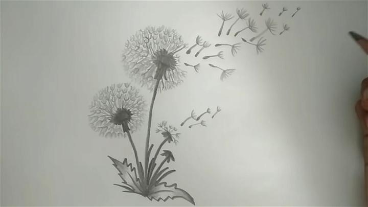 Easy Way to Draw a Dandelion