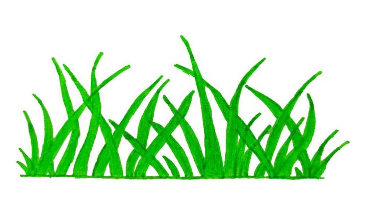 Easy Way to Draw a Grass