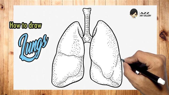 Easy Way to Draw a Lungs