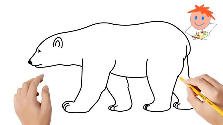 Easy to Draw Polar Bear