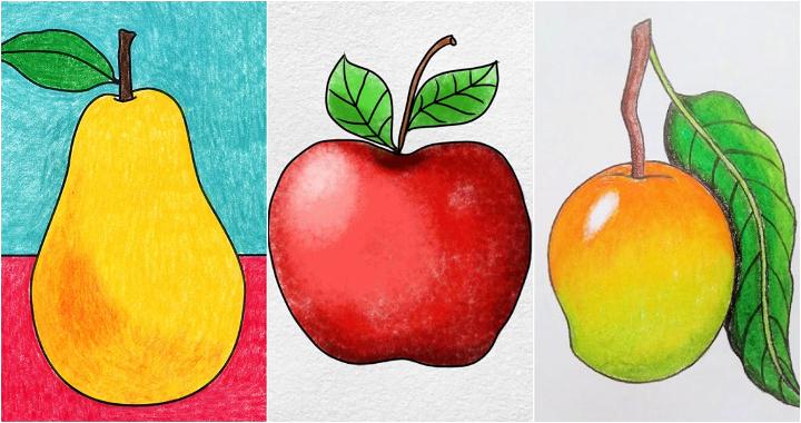 simple fruit drawing