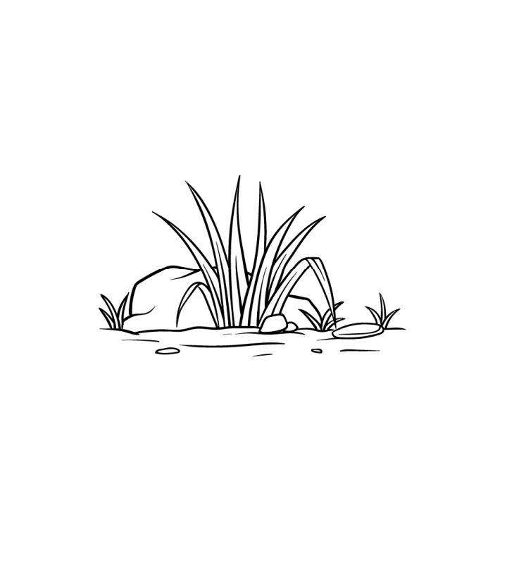 Grass Drawing in Just 6 Easy Steps