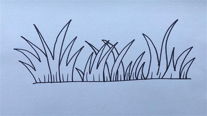 Grass Line Drawing Step by Step