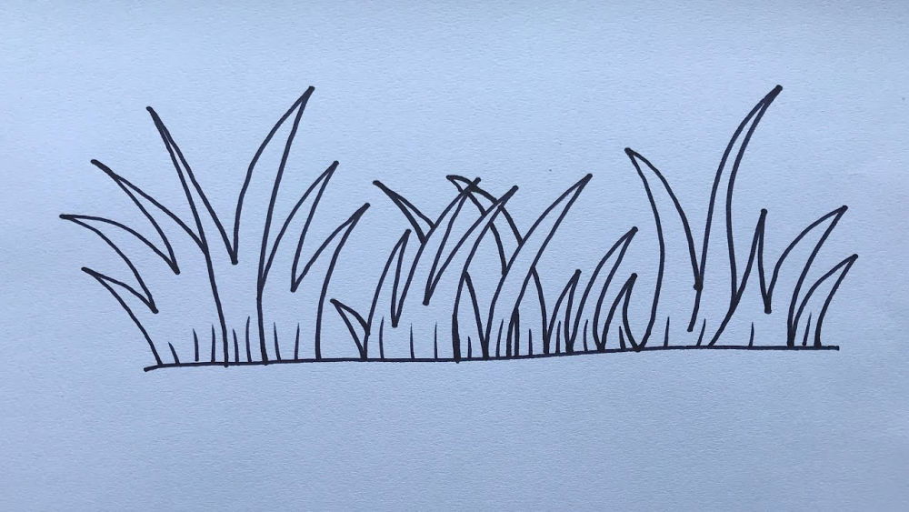25 Easy Grass Drawing Ideas How To Draw Grass Blitsy