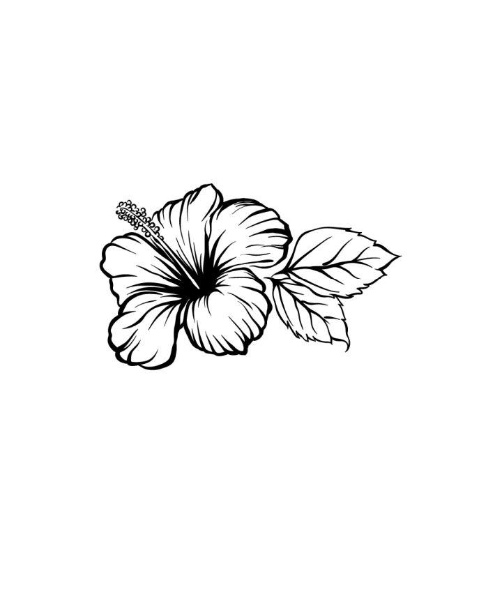 easy to draw hawaiian flowers