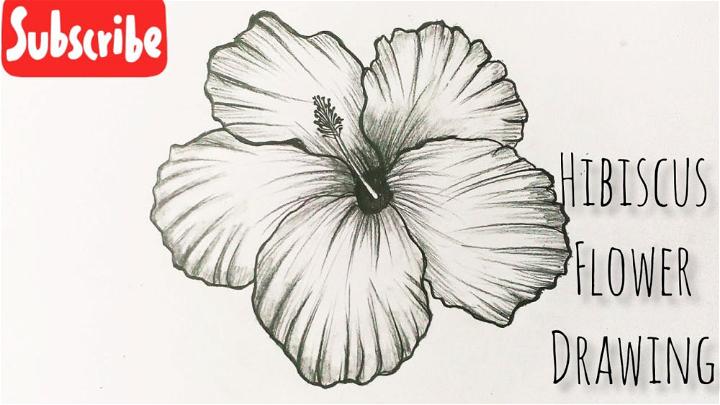 Hibiscus Flower Black and White Drawing