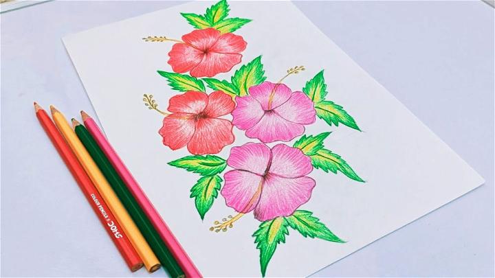 How Do You Draw Hibiscus Flowers