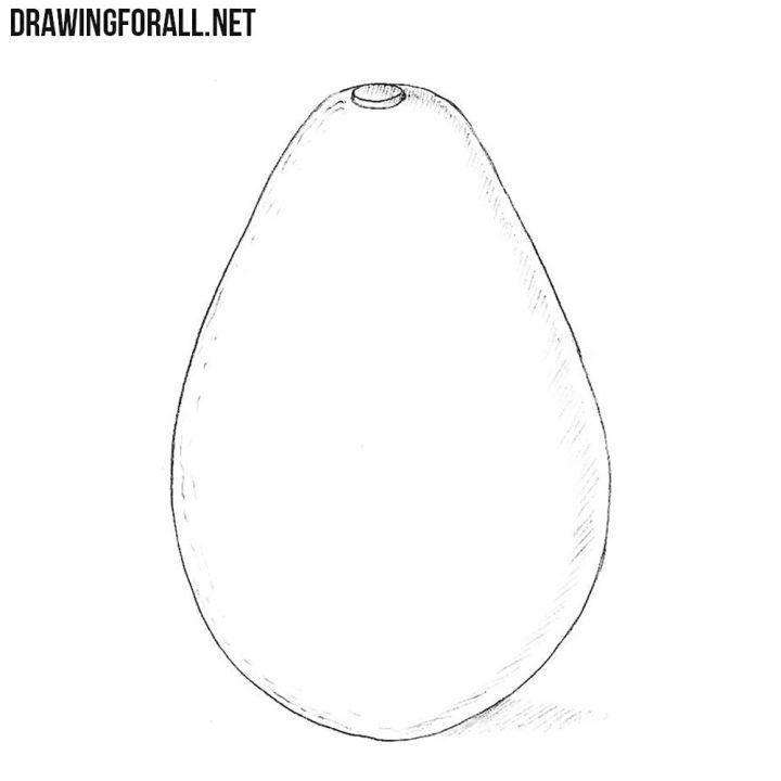 How Do You Draw an Avocado