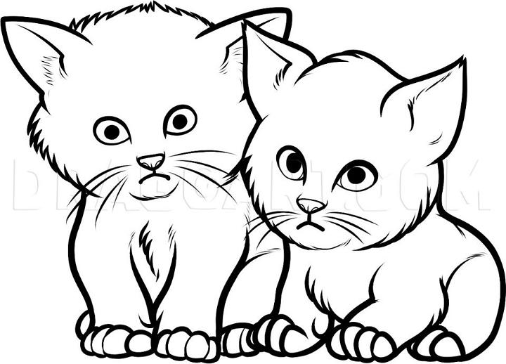 How to Draw Baby Kittens