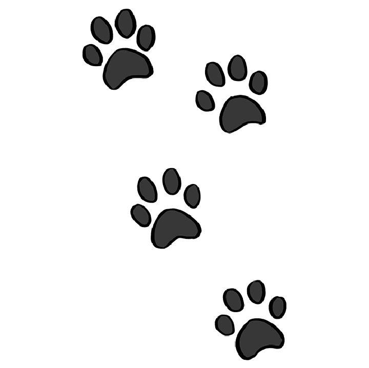 How to Draw Cat Paw Prints