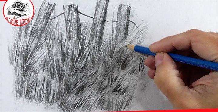 How to Draw Grass with Pencil