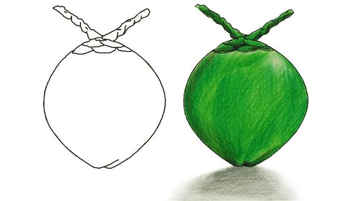 How to Draw Green Coconut