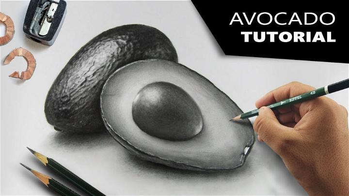 How to Draw Hyperrealistic Avocado