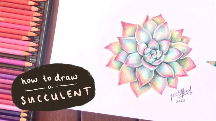 How to Draw Succulent