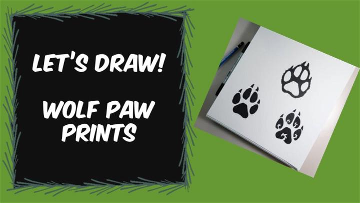 How to Draw Wolf Paw Prints