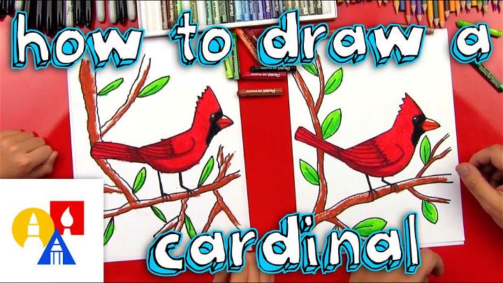 How to Draw a Cardinal on a Branch